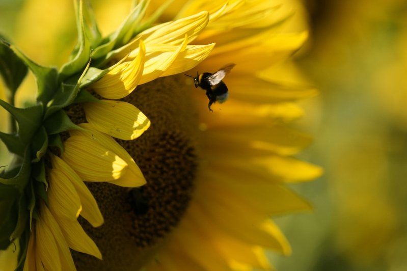 8920288-thumbnail.jpg