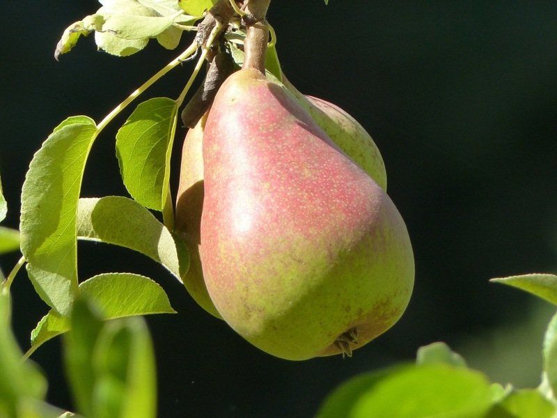 9063093-thumbnail.jpg