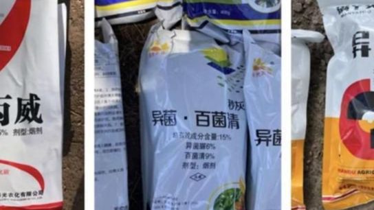 8962767-thumbnail.jpg