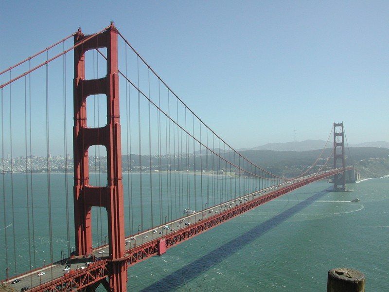9010429-thumbnail.jpg