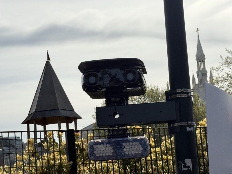 8917866-thumbnail.jpg