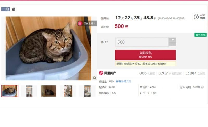 8959005-thumbnail.jpg