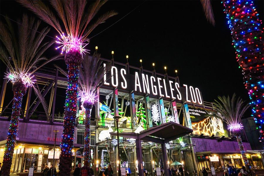 111425-111625-洛杉矶动物园灯光秀2-1.jpg