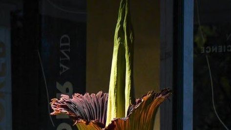 8875305-thumbnail.jpg