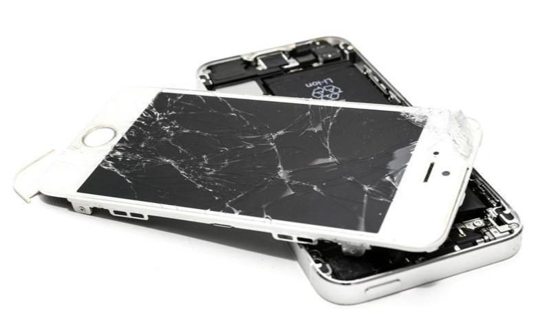 8982498-thumbnail.jpg