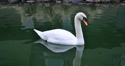 9096716-thumbnail.jpg